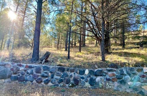 San Lorenzo House | Salt Creek Cabin In The Gila