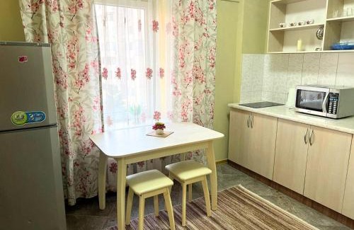 Almaty Apartment | Samal Suites