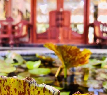 Yodakandiya Resort | Saman Resort Yala
