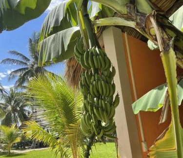 San Miguel Hotel | Sambo Mambo Beach Hotel