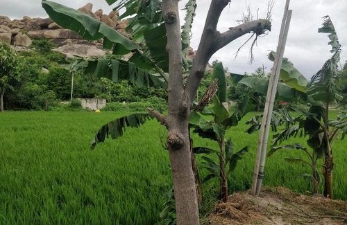 Kamalapur House | SAME PLACE Hampi