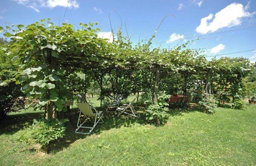San Lorenzo a Vaccoli Apartment | San Lorenzo a Vaccoli Apartment Sleeps 2 T241346