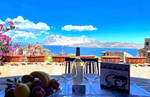 Capo Coda Cavallo Apartment | San Teodoro PUNTA EST Bilocale VISTA MARE