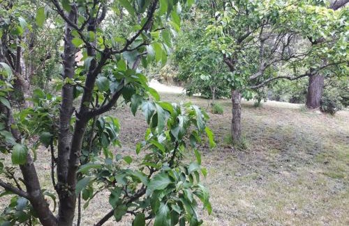 Healesville House | Sandys Pottery Cottage- pet friendly, wineries,