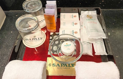 Lao Cai Hotel | Sapaly Lao Cai City Hotel