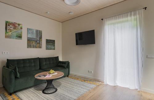Alytus county Apartment | Sapnų cechas