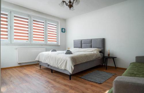 Novo Sarajevo Apartment | Sarajevo-Hrasno brdo