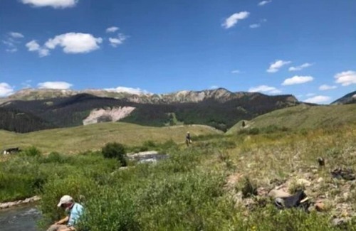 Yukon-Koyukuk RV Rental | Saw pit .