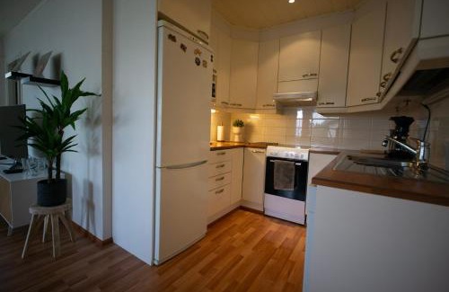 Rovaniemi Apartment | Scandinavian Sauna Apartment