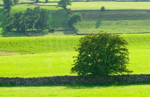 Underbarrow House | Scar View
