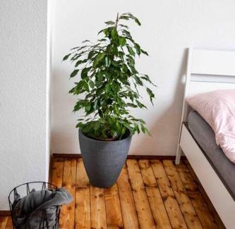 Rhein-Erft-Kreis District Apartment | Schöne Dachgeschosswohnung nahe Köln