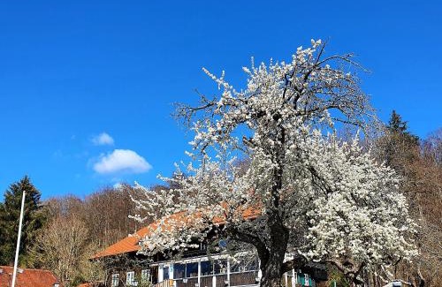 Diessen am Ammersee House | Schatzbergalm Pension