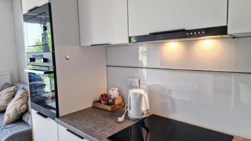 Lodz Apartment | Scheibler Loft Księży Młyn FUZJA