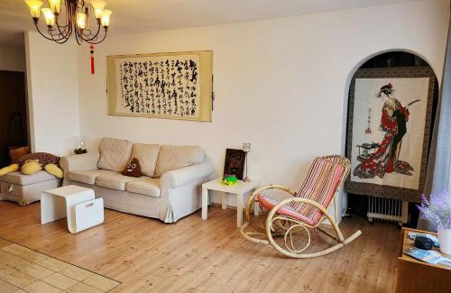 Schonach im Schwarzwald Apartment | Schonach 2units, mountain-Top in forest, free parking, new kitchen, renovated bathroom, high-speed internet