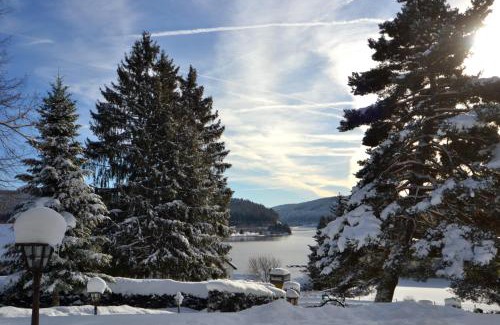 Schluchsee Apartment | Schwarwald Apartment
