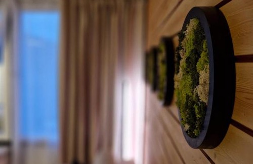 Sasbachwalden Apartment | Schwarzwald Apartment