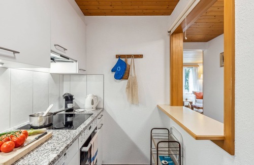 Wengen Apartment | Schweizerhof Apt. S by Interhome