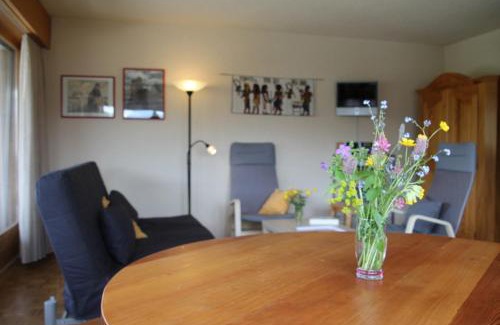 Vercorin Apartment | Scierie A Meya 118