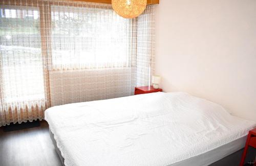 Vercorin Apartment | Scierie A Meya 118