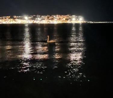 Gavrio Apartment | Sea Senses Andros - A Beachfront Retreat