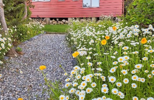 Cape Neddick House | Seacoast Sanctuary