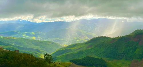 Mae Suai Other | seafog homestay doichang