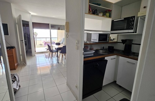 Canet-Plage Apartment | Seafront Terrace Parking Wifi Large F2 Canet-en-Roussillon Plage Sud