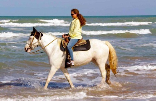 South Padre Island House | Seagull 202 by Padre Island Rentals