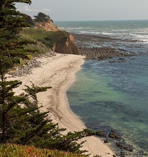 Moss Beach Bed & Breakfast | Seal Cove Inn