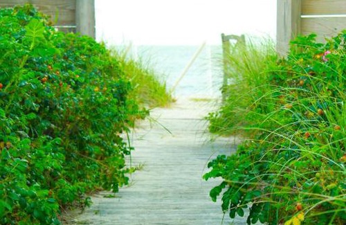 Dennis Port Hotel | Seashell Motel