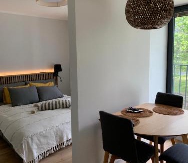 Engure Apartment | Seaside apartment Albatross, 16