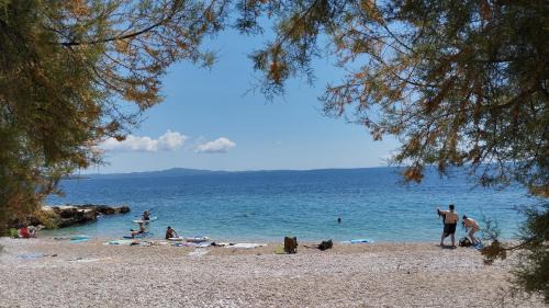 Ivan Dolac Apartment | Seaside Cottage Toma