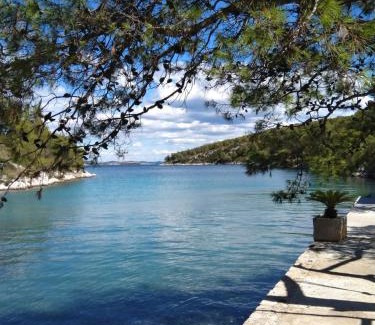 Island Dugi Otok Apartment | Seaside secluded apartments Cove Dumboka bay - Dumboka (Dugi otok) - 489