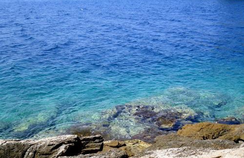 Gdinj Apartment | Seaside secluded apartments Cove Torac, Hvar - 575