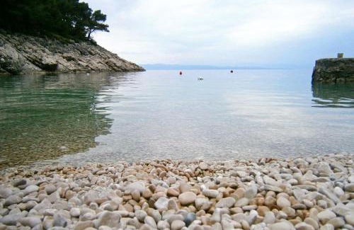 Gdinj Apartment | Seaside secluded apartments Cove Pobij, Hvar - 5633
