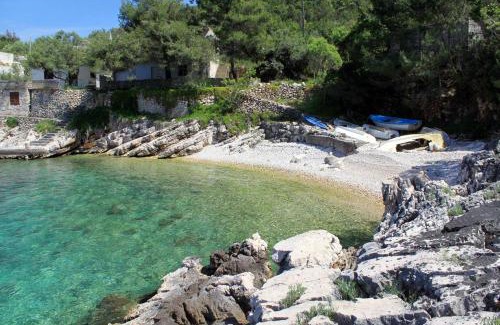 Gdinj Apartment | Seaside secluded apartments Cove Pobij, Hvar - 5633