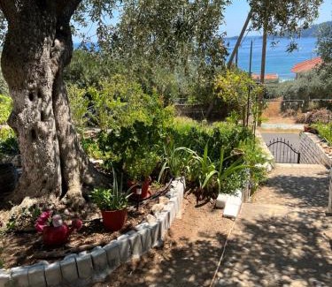 Chrisi Ammoudia House | Seaview serenity