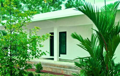 Mararikulam Apartment | Sebastian's Oasis