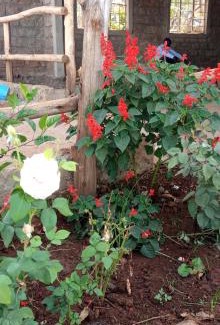 Kapchorwa Hotel | Sebei Resort Hotel