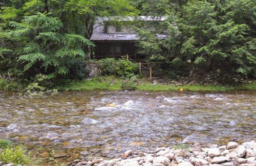Burnsville House | Secluded and Rustic Cabin on South Toe River!