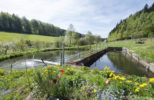 Schoensee Apartment | Secluded Apartment in Schönsee with Balcony