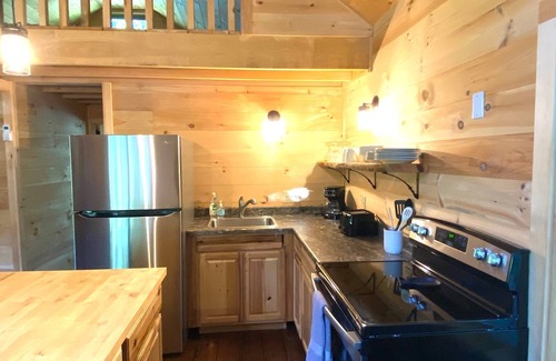 Davenport Cabin | Secluded Cabin Fire pit : Hiking : Near Oneonta