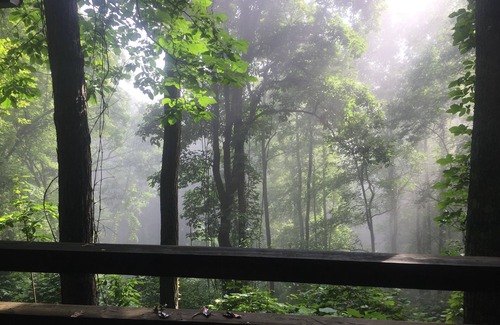 Blue Ridge Cabin | Secluded cabin in Aska Adventure Area