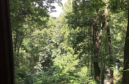 Blue Ridge Cabin | Secluded cabin in Aska Adventure Area