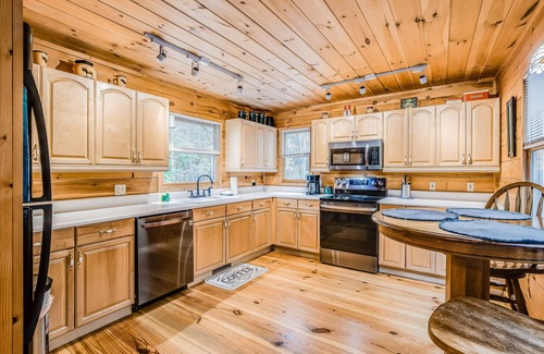 Ellijay Cabin | Secluded dog-friendly cabin w/grill, deck, forest & mountain views, 4x4 required