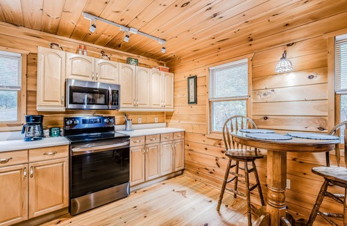 Ellijay Cabin | Secluded dog-friendly cabin w/grill, deck, forest & mountain views, 4x4 required