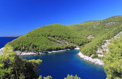 Zrnovo House | Secluded fisherman's cottage Cove Bratinja Luka, Korcula - 9224
