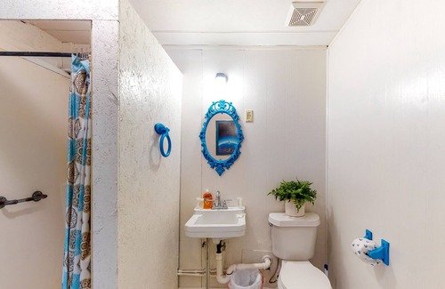 Carrabelle House | Secluded home near the beach with fast WiFi and central AC - snowbirds welcome