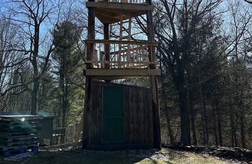 Prattsburgh Cabin | Secluded Off-Grid Cabin on 20 Acres of Woodland Featuring Many Ways to Enjoy