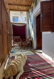 Dahab House | Second line studio